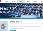 米兰体育网页-星辉娱乐出售西班牙人球队股份伯恩利老板接手