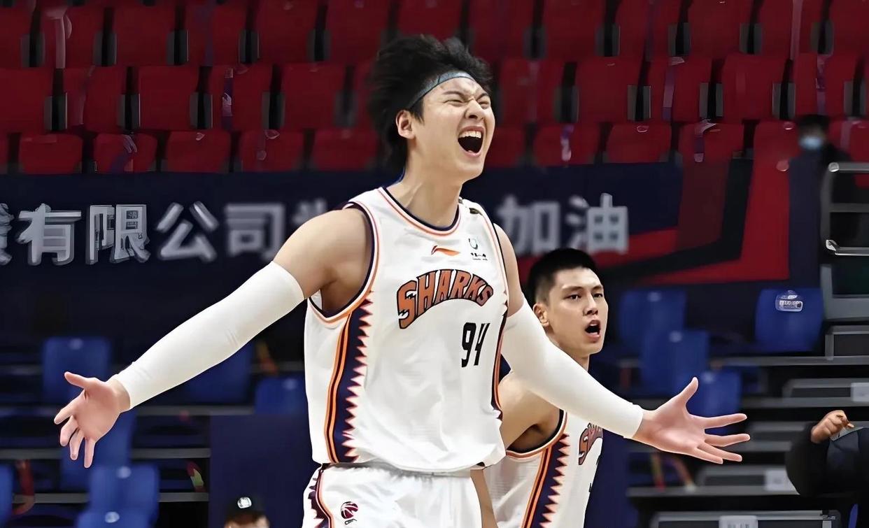 关于上海男篮精彩逆转，为球迷带来惊喜胜利的信息