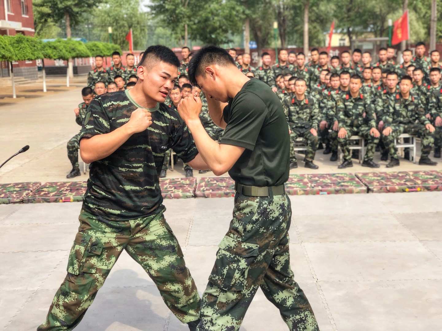 阿尔希拉尔教练组强化体能训练，备战关键战的简单介绍