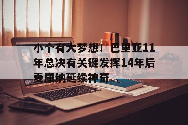 包含小个有大梦想！巴里亚11年总决有关键发挥14年后麦康纳延续神奇的词条